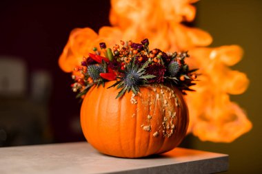Cadılar Bayramı balkabağında böğürtlen ve biberli bir sonbahar çiçek aranjmanına odaklanın.