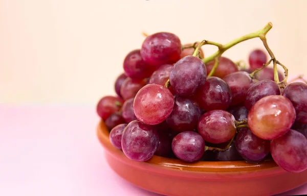 Obraz Kilku Fioletowych Winogron Okrągłym Glinianym Garnku Neutralnym Tle Przestrzenią — Zdjęcie stockowe