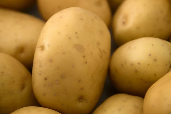 一组占据整个图像宽度的白色土豆的细节 — 图库照片