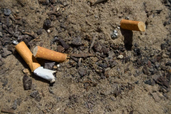 stock image Some extinguished cigarettes in the sand of a beach reveal a habit that is harmful to health and an ecological problem for the sea and the animal species that inhabit it