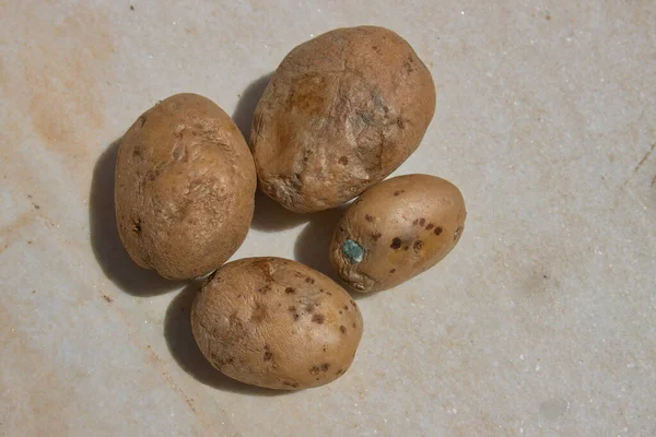 关闭一些土豆 这些土豆变质了 腐烂了 而且带有不健康的真菌 在旧灰大理石上没有芽的土豆 — 图库照片