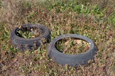 Bitki örtüsü onları çevreleyip çürütürken, kullanılmış lastiklerin doğal bir alana atılmış olması görüntüsü