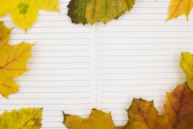 Sarı, turuncu ve yeşil tonlarda renkli sonbahar yapraklarıyla çevrili boş çizgilerle kaplı bir defter sıcak ve davetkar bir atmosfer yaratıyor..