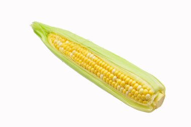 Koçanda taze hasat edilmiş mısır. Yerel bir çiftlikte yaz günü pişirmeye ya da ızgara yapmaya hazır.