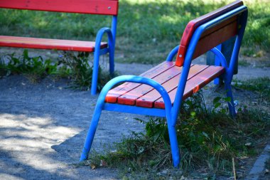 Güneşli bir günde yeşilliklerle çevrili bir parkta renkli banklar.
