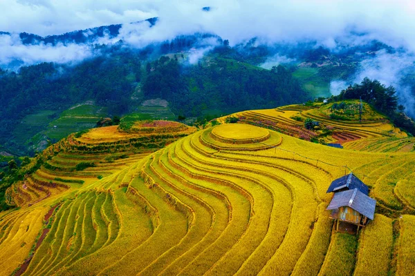 베트남의음 경치에 아름다운 계단식논 — 스톡 사진