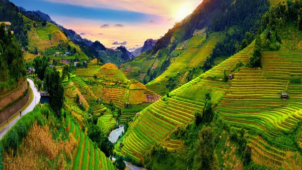Belos Terraços Arroz Miradouro Cang Chai Vietnã Fotos De Bancos De Imagens