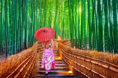 Bambu Ormanı. Japonya 'nın Kyoto kentindeki Bambu Ormanı' nda geleneksel Japon kimonosu giyen Asyalı kadın..