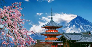 Japonya 'da kiraz çiçekleri ve kırmızı pagoda.