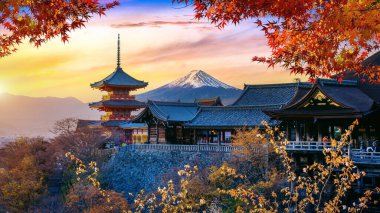 Japonya 'da sonbahar mevsimi gün batımında. Seyahat kavramı.