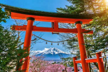İlkbaharda Japonya 'da kırmızı sırık ve Fuji dağları.