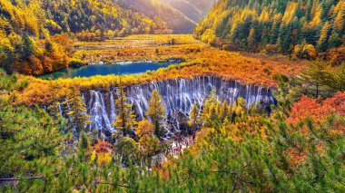 Jiuzhaigou Ulusal Parkı, Çin 'de Nuorilang şelalesi. Sichuan 'da sonbahar.