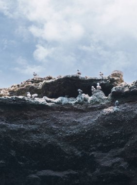 Ballestas Adaları, Paracas yarımadası açıklarında bulunan küçük adalardan oluşan bir gruptur.