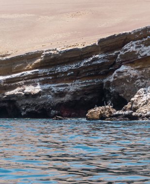 Ballestas Adaları, Paracas yarımadası açıklarında bulunan küçük adalardan oluşan bir gruptur.