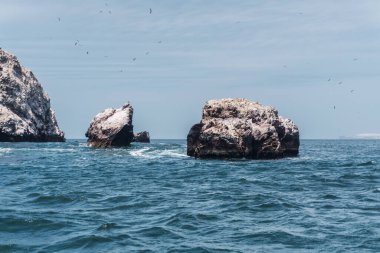 Ballestas Adaları, Paracas yarımadası açıklarında bulunan küçük adalardan oluşan bir gruptur.