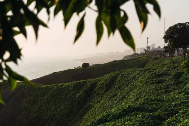 Lima Peru 'daki Miraflores Costa Verde manzarası, odaksız yapraklar ön plan