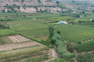 Azpitia kasabası Lima Peru 'daki Mala Nehri Vadisi manzarası