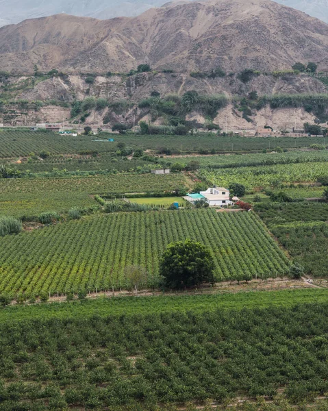 Azpitia kasabası Lima Peru 'daki Mala Nehri Vadisi manzarası