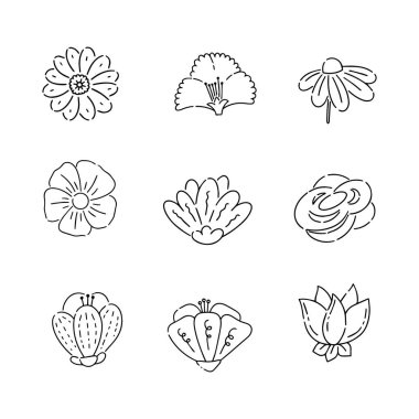 Çiçek karalama çizgisi vektör çizimi