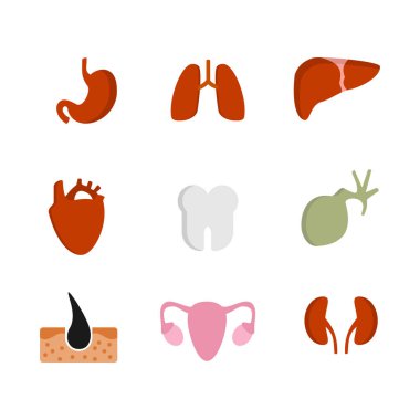 Organ ikonu düz stili. izole çizgi film çizimleri koleksiyonu