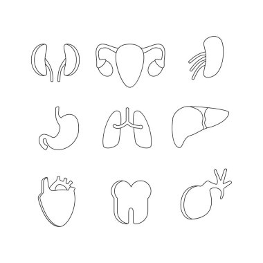 Organ karalama çizgisi işaret simgesi koleksiyonu. Taslak tarzı. izole resim