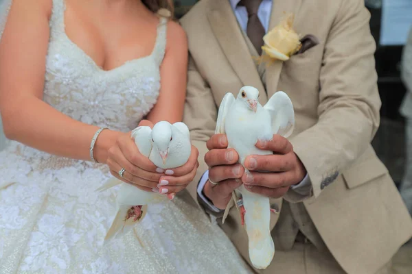 Ζευγάρι Του Γάμου Κρατάει Λευκά Περιστέρια Στα Χέρια Του Παράδοση — Φωτογραφία Αρχείου