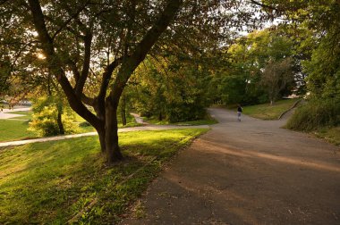 peyzaj parkı sonbahar akşamı ışıklandırması
