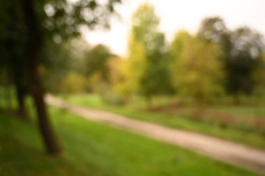 peyzaj parkı sonbahar bulanık arkaplan