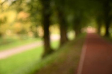 peyzaj parkı sonbahar bulanık arkaplan