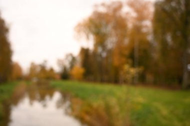 Sonbahar parkı sararmış yapraklar