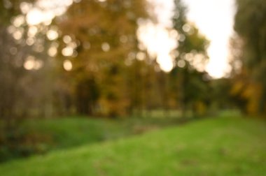 Sonbahar parkı sararmış yapraklar