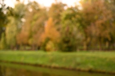 Sonbahar parkı sararmış yapraklar