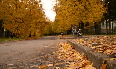 Sonbahar parkı sararmış yapraklar