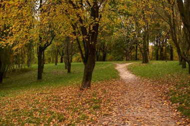 Sonbahar parkı sararmış yapraklar