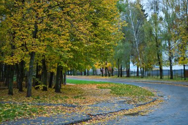 Sonbahar parkı sararmış yapraklar
