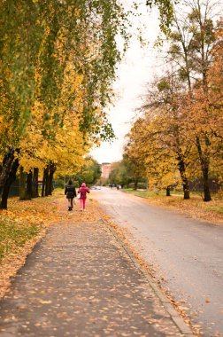 Sonbahar parkı sararmış yapraklar