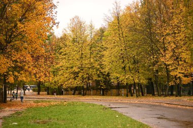 Sonbahar parkı sararmış yapraklar