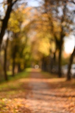 Ağaçlı güzel sonbahar manzarası