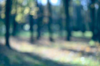 Bulanık sonbahar arka planı. soyut sonbahar parkı arka planı.