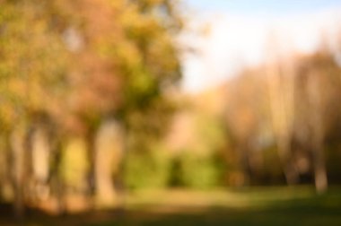 Bulanık sonbahar arka planı. soyut sonbahar parkı arka planı.