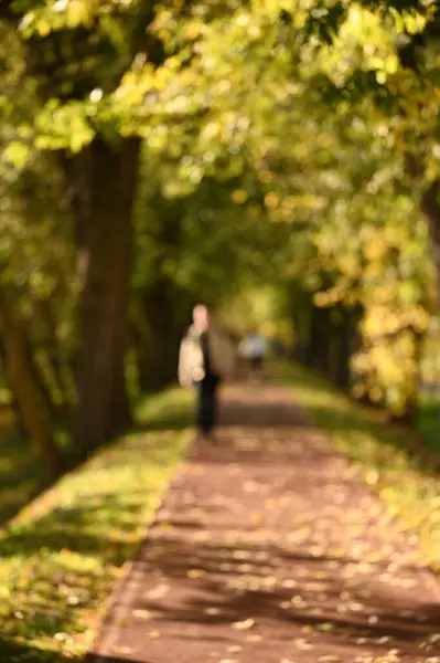 Şehir parkında yürüyen insanlar. Güzel bir sonbahar sezonu. Bulanık arkaplan