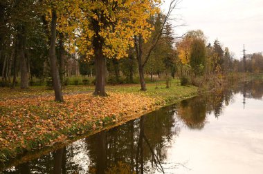 Sonbahar parkında ağaçlarla çevrili güzel nehir manzarası.
