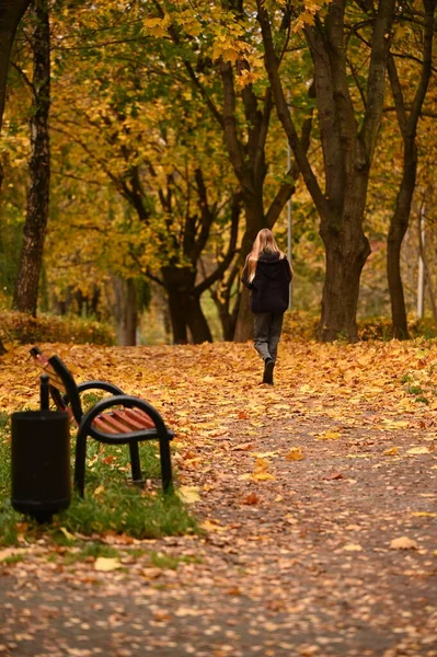 young girl in autumn clothes walking in the park. autumn season. back view