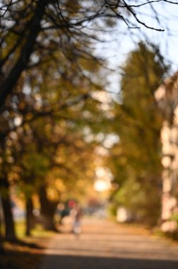 Autumn City Parkı. Güzel sonbahar sezonu