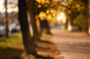 Autumn City Parkı. Güzel sonbahar sezonu