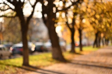 Autumn City Parkı. Güzel sonbahar sezonu