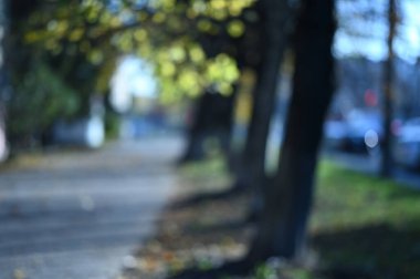 Autumn City Parkı. Güzel sonbahar sezonu