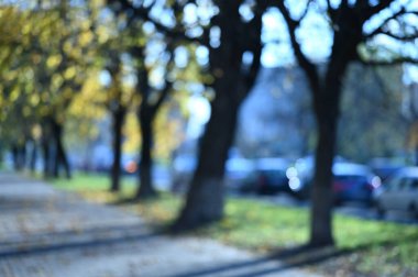 Autumn City Parkı. Güzel sonbahar sezonu