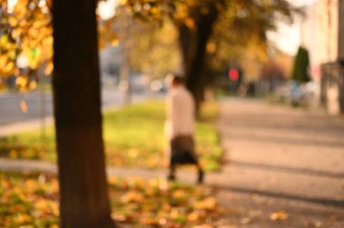 Sonbahar Şehir Parkı 'ndaki insanların geçmişi bulanık