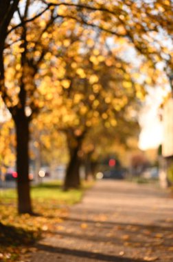 Autumn City Parkı. Güzel sonbahar sezonu